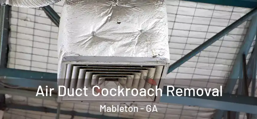  Air Duct Cockroach Removal Mableton - GA