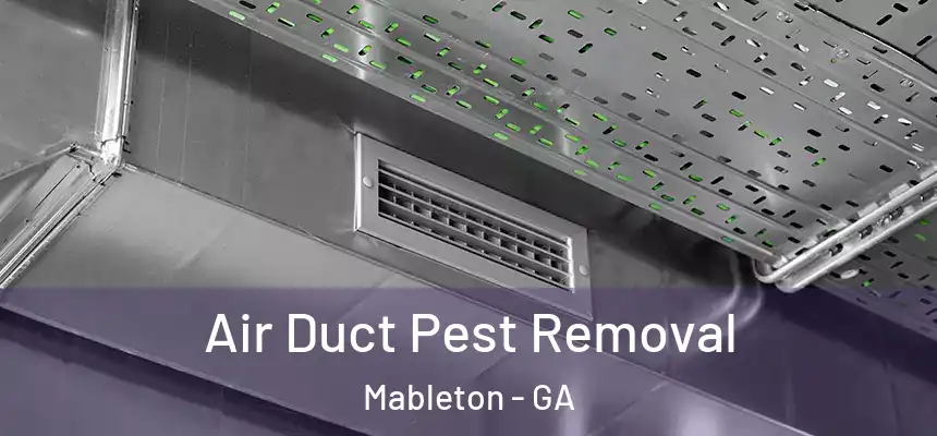  Air Duct Pest Removal Mableton - GA