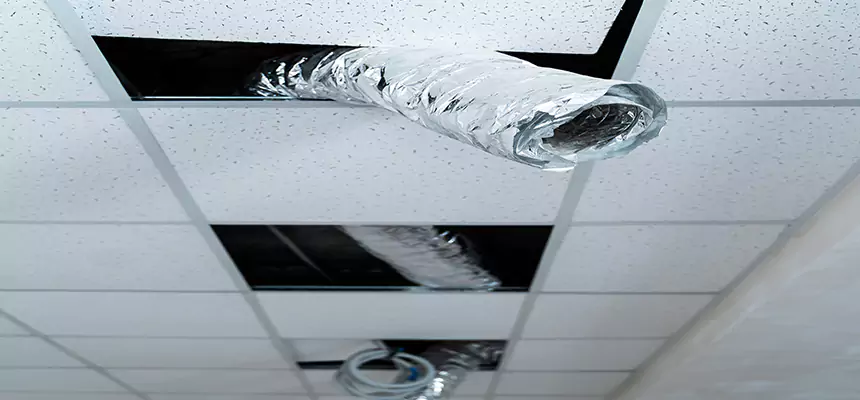 Our Air Duct Pet Hair Removal Services in Mableton, GA