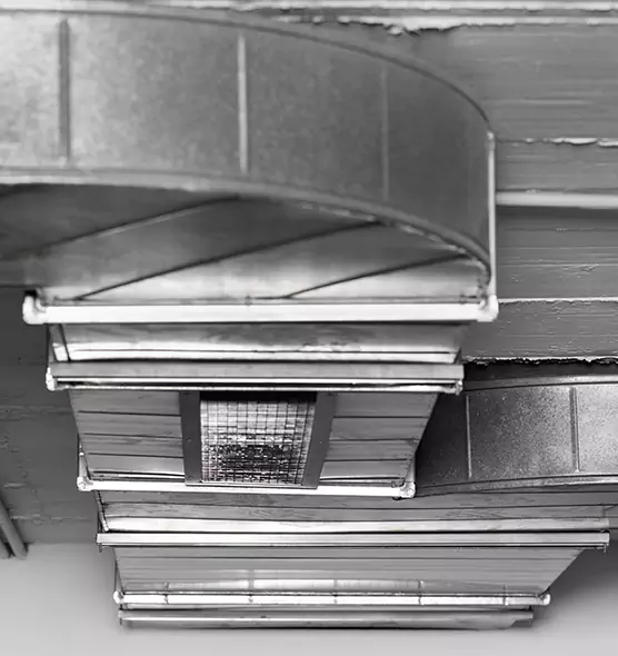 Professional Air Duct Pest Removal in Mableton, GA