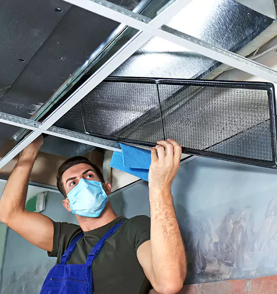 Professional Air Duct Pollen Cleaning in Mableton, GA