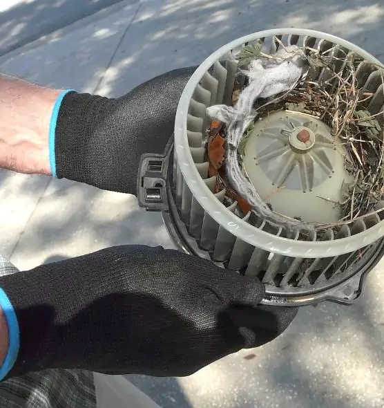 About Air Duct Rat Removal in Mableton, GA